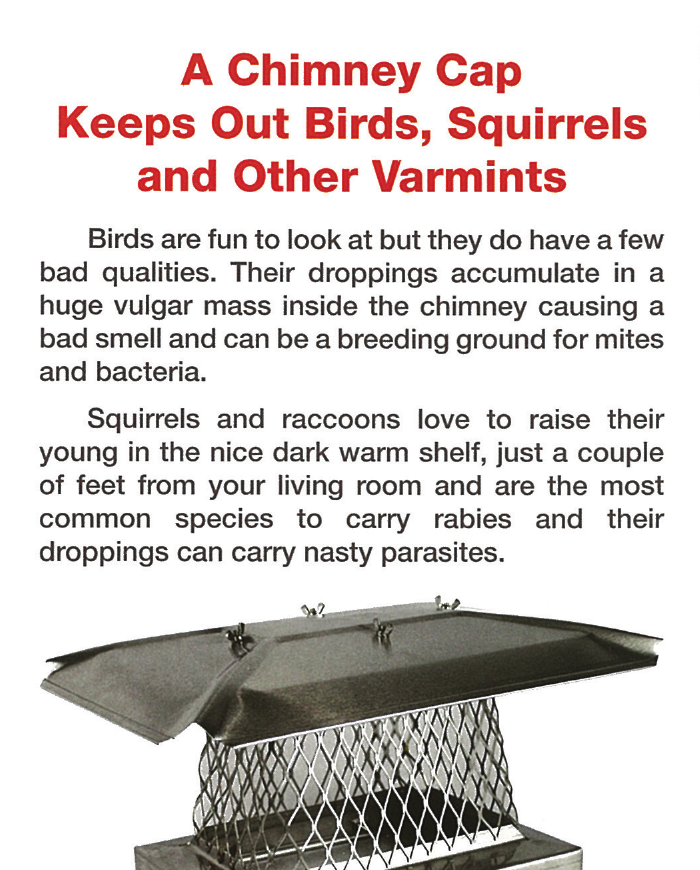 Brochure panel explaining how chimney caps keep out birds squirrels and varmints