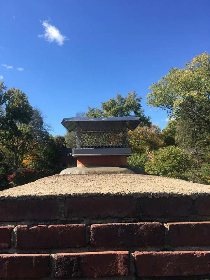 Allison Park Fireplace Chimney Flue Relined Smoke Chamber Parge